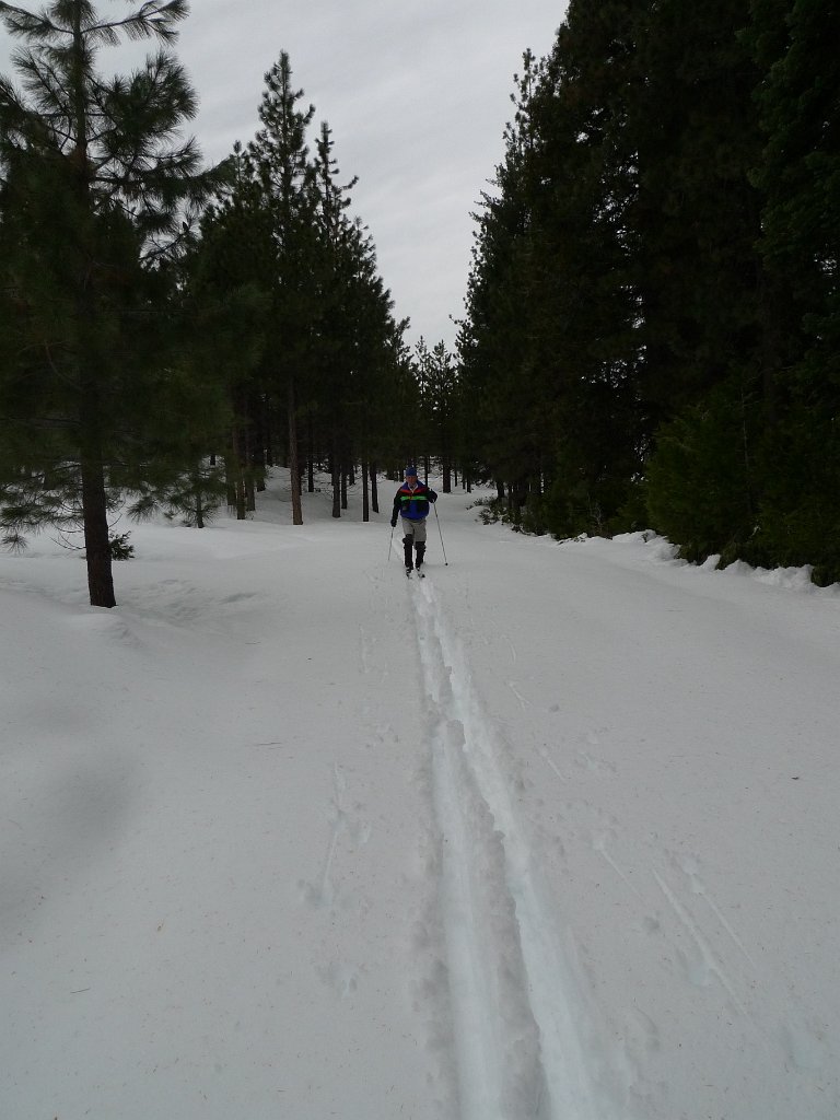 Christmas2010 123.JPG